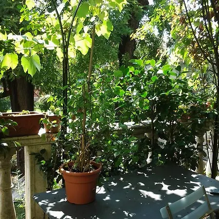 Antico Amore Moncalieri