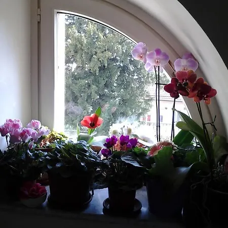 Bed & Breakfast Antico Amore