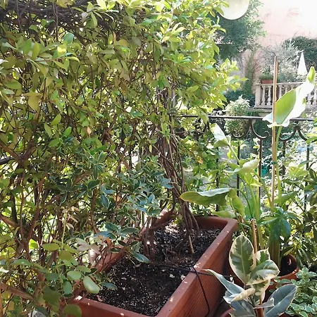Antico Amore Bed & Breakfast Moncalieri
