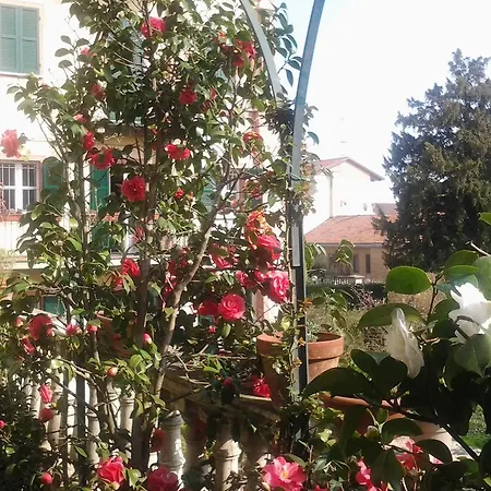 Bed & Breakfast Antico Amore *