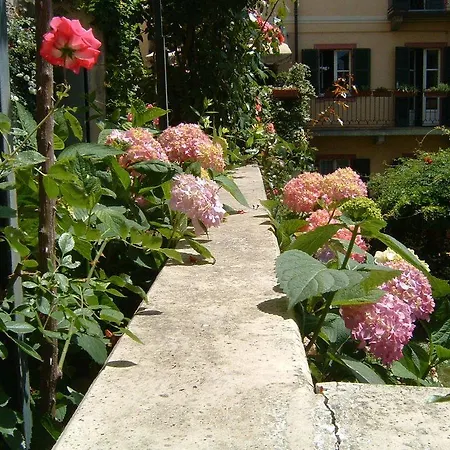 Antico Amore مونْكالييري