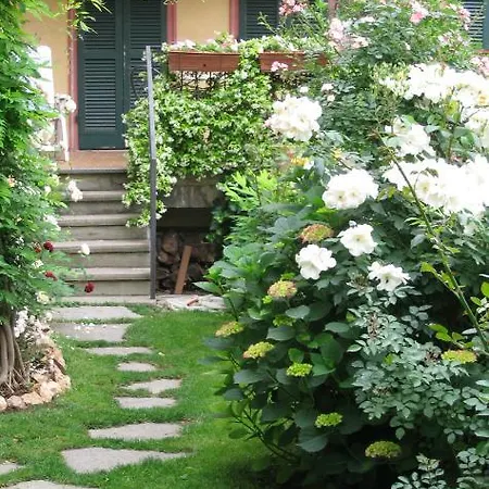 Antico Amore Moncalieri