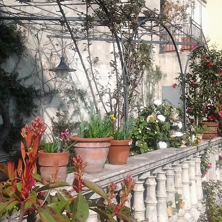 Antico Amore