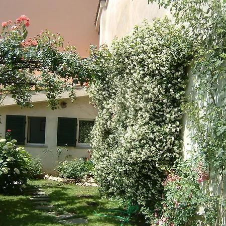 Antico Amore