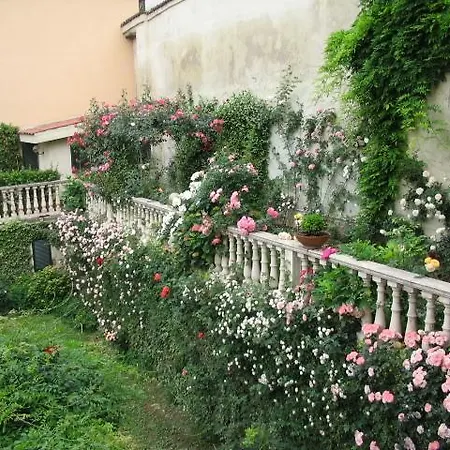 Antico Amore Moncalieri